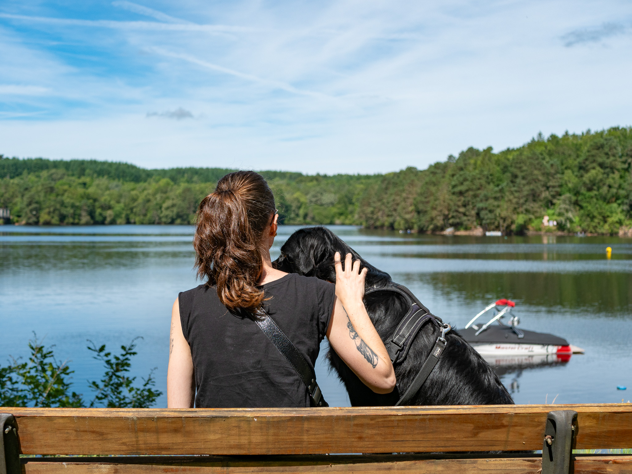 Camping du Lac de Marcillac-la-Croisille : Un paradis pour les chiens et leurs humains !