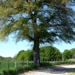 Le pays vert Chanteixois du Puy Maurians aux Zignalets_4