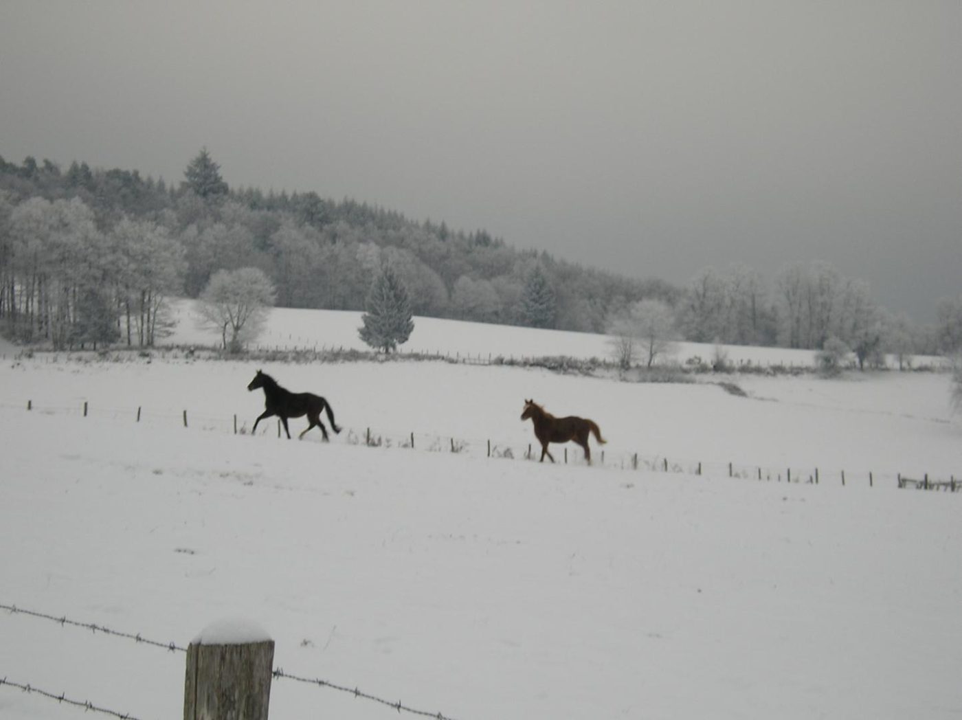 Domaine du Salabert_54