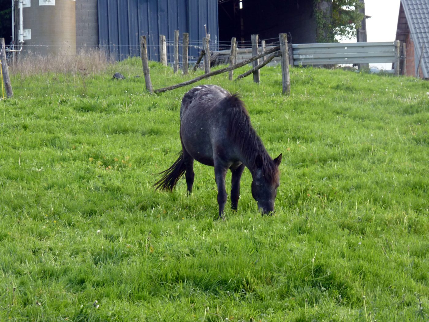 La Ferme de Brossard_3