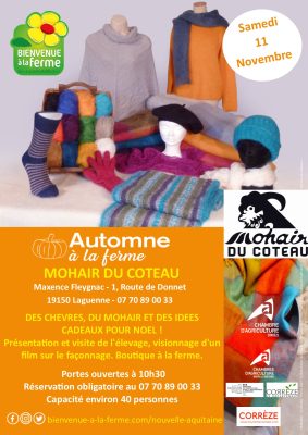 AFFICHE automne Mohair du Coteau V3