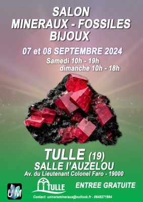 Affiche-2 tulles