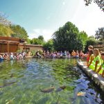 Aquarium-du-Perigord-Noir-3