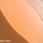 ArtsCreationsCorreze_Robert-Lifran-Dune USA