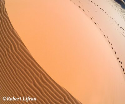 ArtsCreationsCorreze_Robert-Lifran-Dune USA