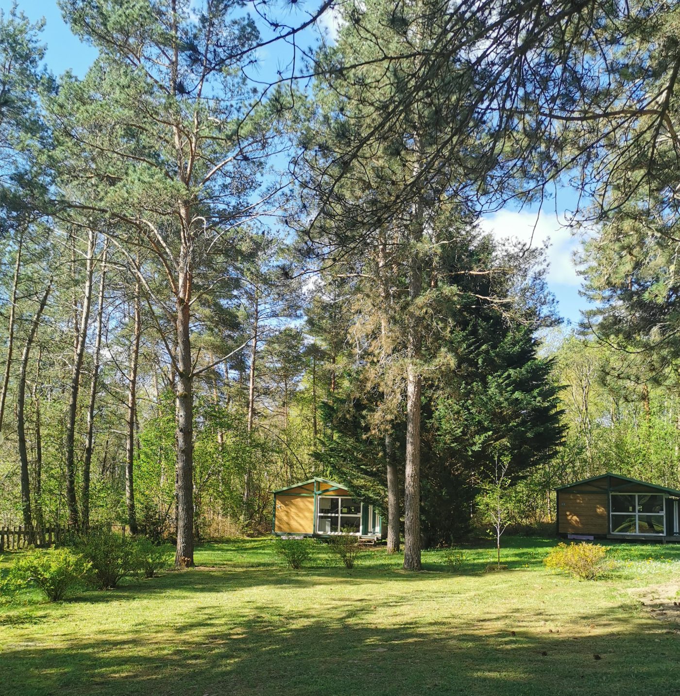 Chalets camping nature préservée