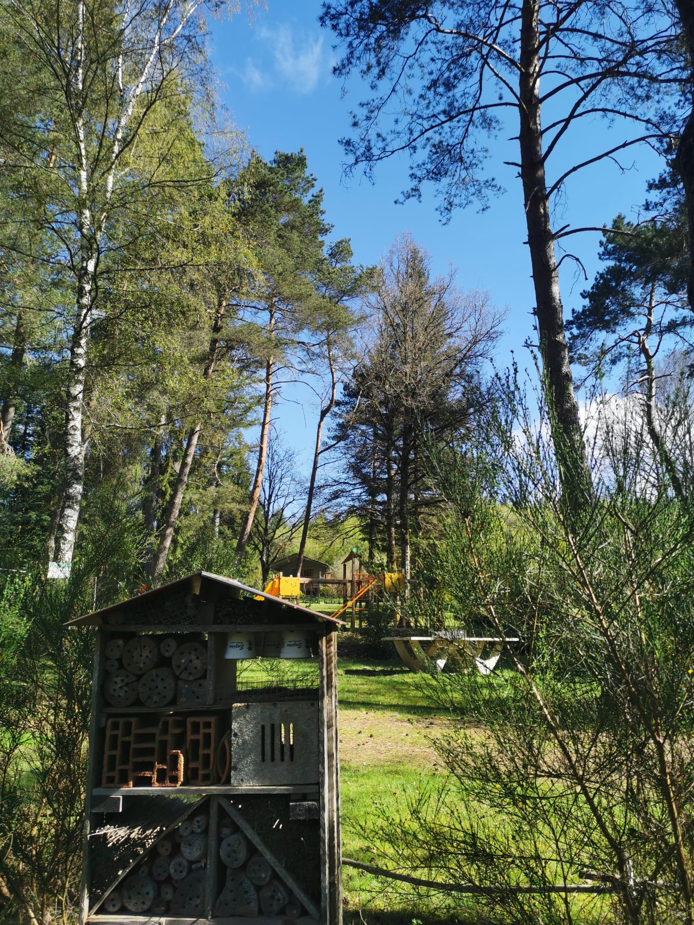 Faunes et Flores camping en correze