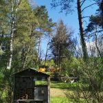 Faunes et Flores camping en correze