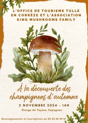 à la découverte des champignons