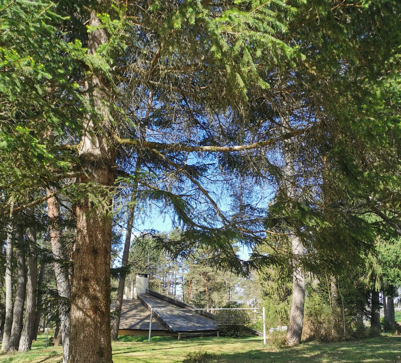 camping nature avec activités